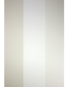 Papel Pintado CARNABY  W6296-06 - OSBORNE and LITTLE