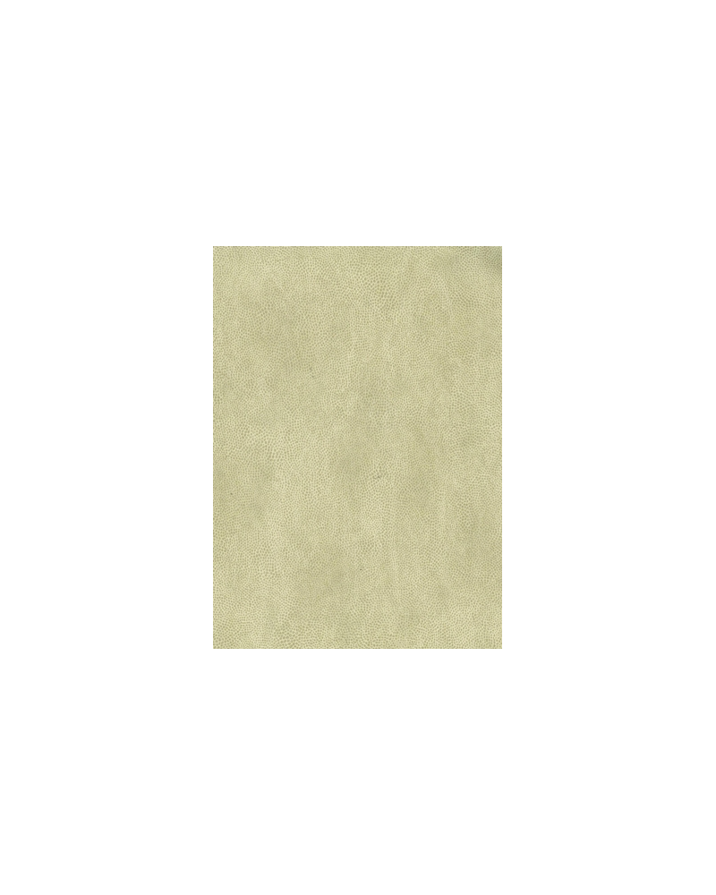 Papel Pintado Mako Vinyl W6331-02 - OSBORNE and LITTLE Papel Pintado Mako Vinyl W6331-02 - OSBORNE and LITTLE