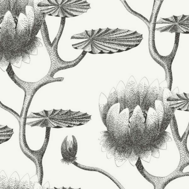 Papel Pintado Lily 95-4020 - COLE and SON
