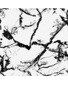 Papel Pintado 5800041 Marble White - COORDONNE