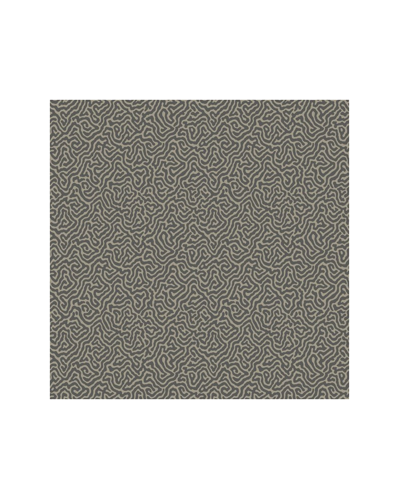 Papel Pintado Vermicelli 107-4017 - COLE and SON