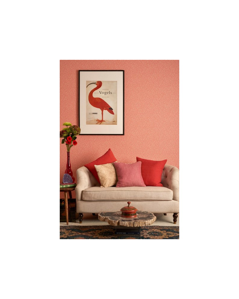 Papel Pintado Vermicelli 107-4017 - COLE and SON