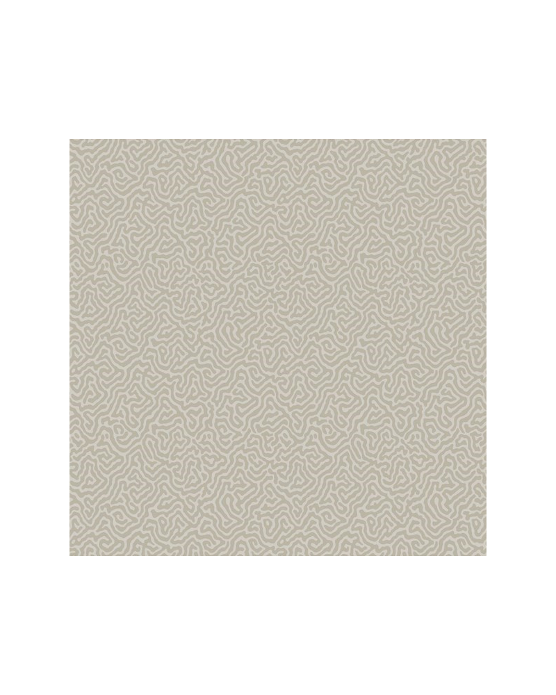 Papel Pintado Vermicelli 107-4019 - COLE and SON Papel Pintado Vermicelli 107-4019 - COLE and SON