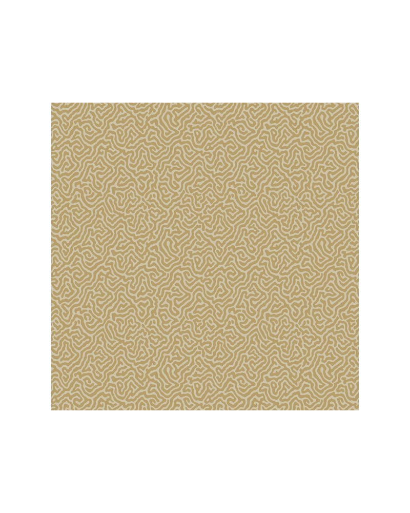 Papel Pintado Vermicelli 107-4021 - COLE and SON Papel Pintado Vermicelli 107-4021 - COLE and SON