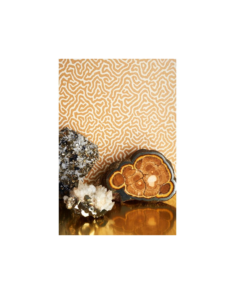 Papel Pintado Vermicelli 107-4022 - COLE and SON