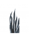 Papel Pintado P 2503-1 POSEIDONIA - Tres Tintas