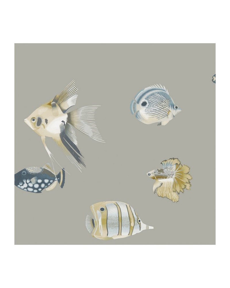 Papel Pintado HANZ111646 KAMANU - Harlequin