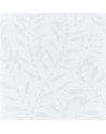 HANZ111661 CHACONIA SHIMMER