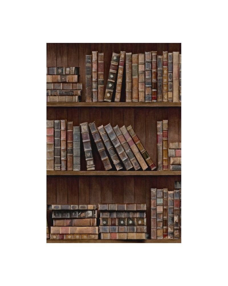 Papel Pintado BOOK SHELVES WP20112 - MIND THE GAP Papel Pintado BOOK SHELVES WP20112 - MIND THE GAP
