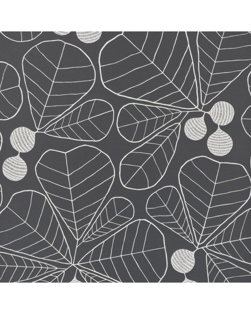 Papel Pintado MISP1199 GREAT LEAF BLACKBOARD - MISSPRINT Papel Pintado MISP1199 GREAT LEAF BLACKBOARD - MISSPRINT
