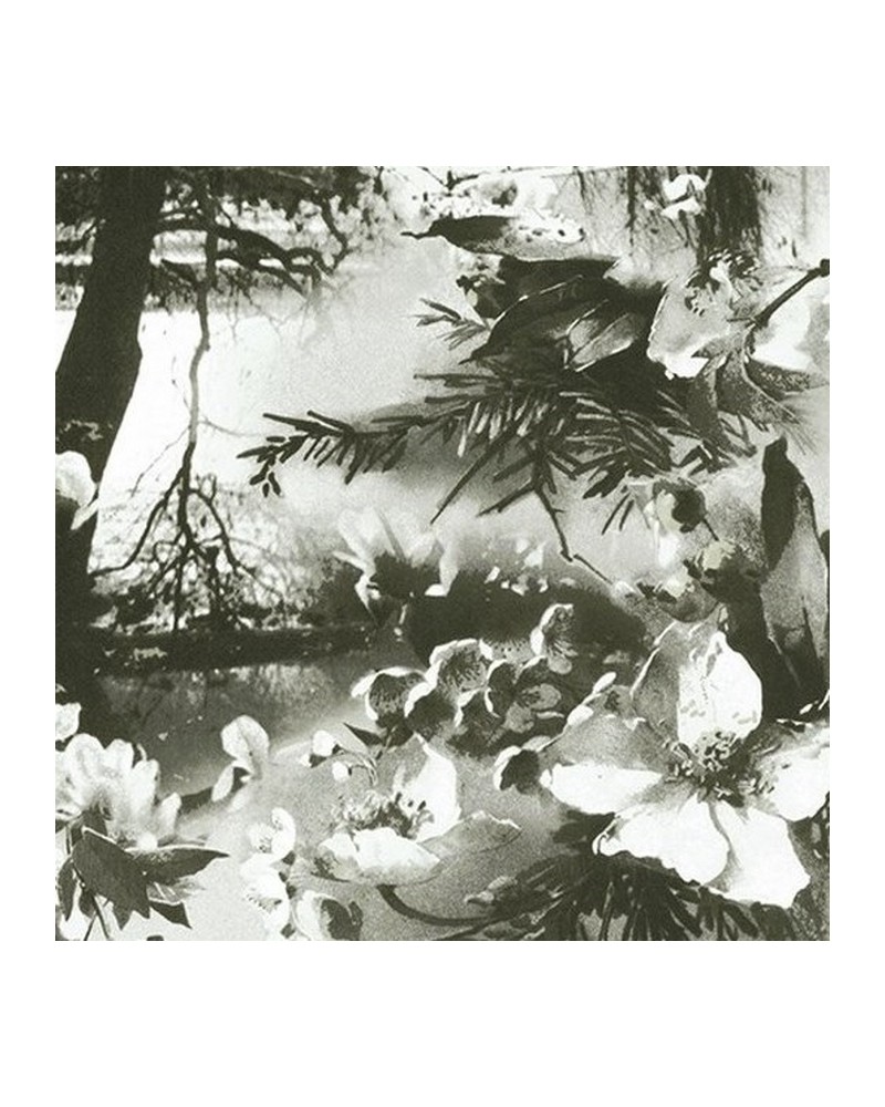 Papel Pintado BRUME - ECRU-NOIR 3307-01 - JEAN PAUL GAULTIER