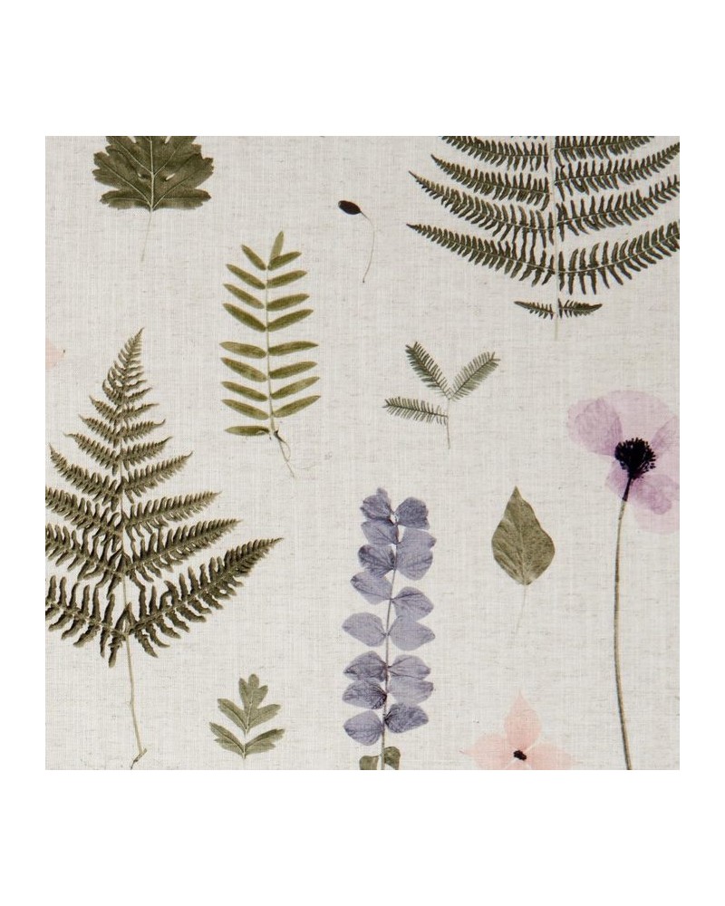 Tela F1089-01 HERBARIUM BLUSH NATURAL CLARKE & CLARKE Tela F1089-01 HERBARIUM BLUSH NATURAL CLARKE & CLARKE