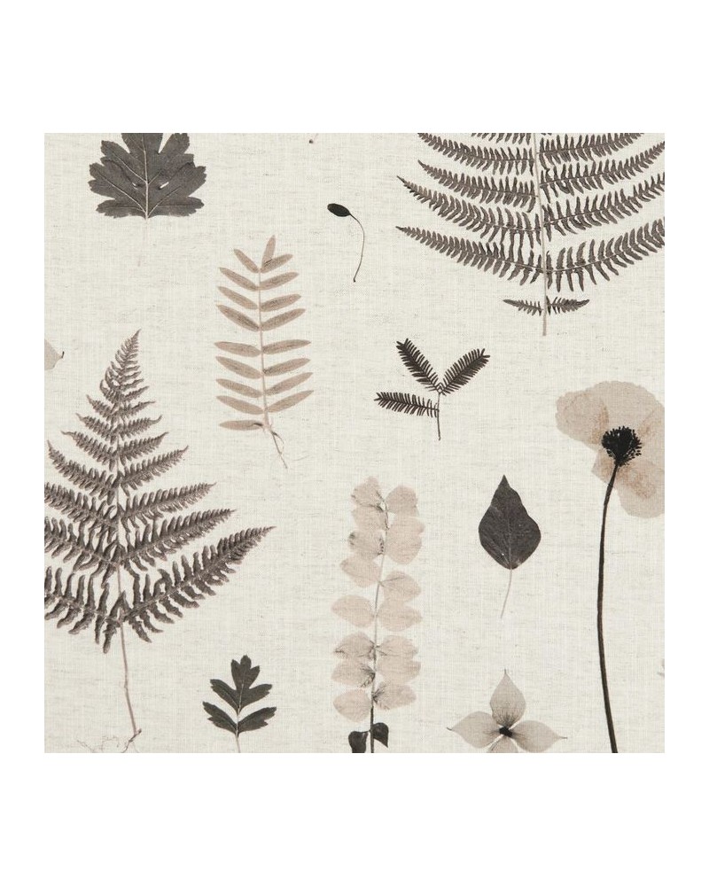 Tela F1089-02 HERBARIUM CHARCOAL NATURAL CLARKE & CLARKE Tela F1089-02 HERBARIUM CHARCOAL NATURAL CLARKE & CLARKE