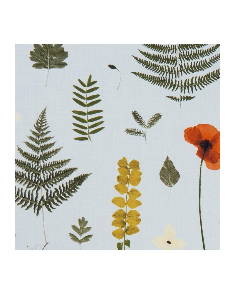 Tela F1089-04 HERBARIUM MINERAL CLARKE & CLARKE Tela F1089-04 HERBARIUM MINERAL CLARKE & CLARKE