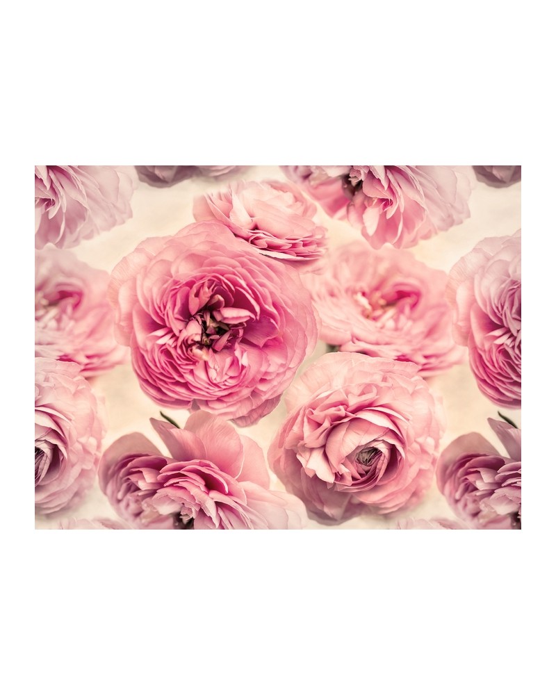 Papel Pintado R13091-8 SUMMER WIND - REBEL WALLS Papel Pintado R13091-8 SUMMER WIND - REBEL WALLS