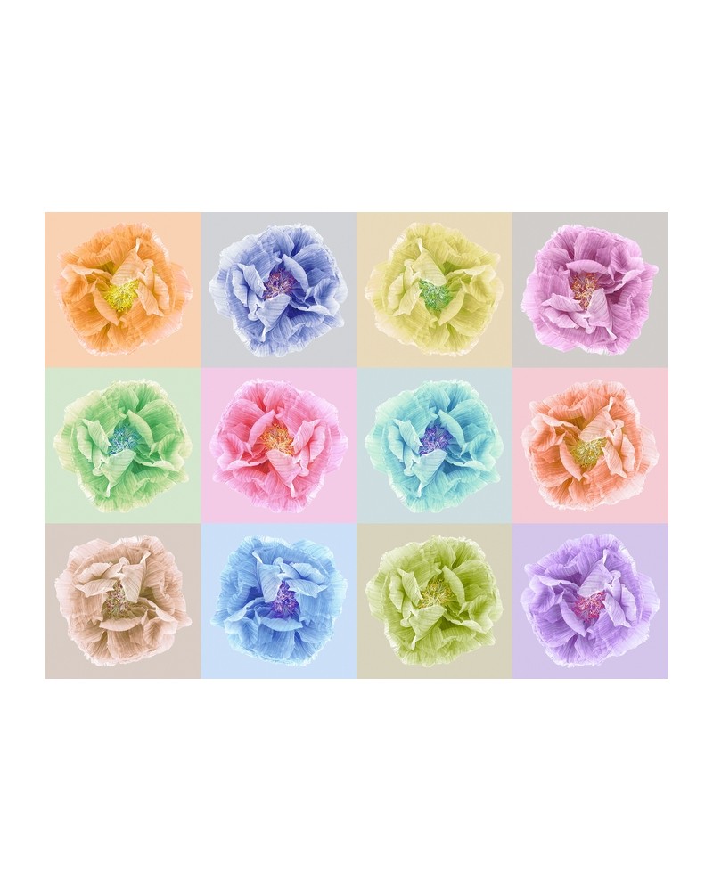 Papel Pintado R13151-8 POPPY ART ANDY - REBEL WALLS Papel Pintado R13151-8 POPPY ART ANDY - REBEL WALLS