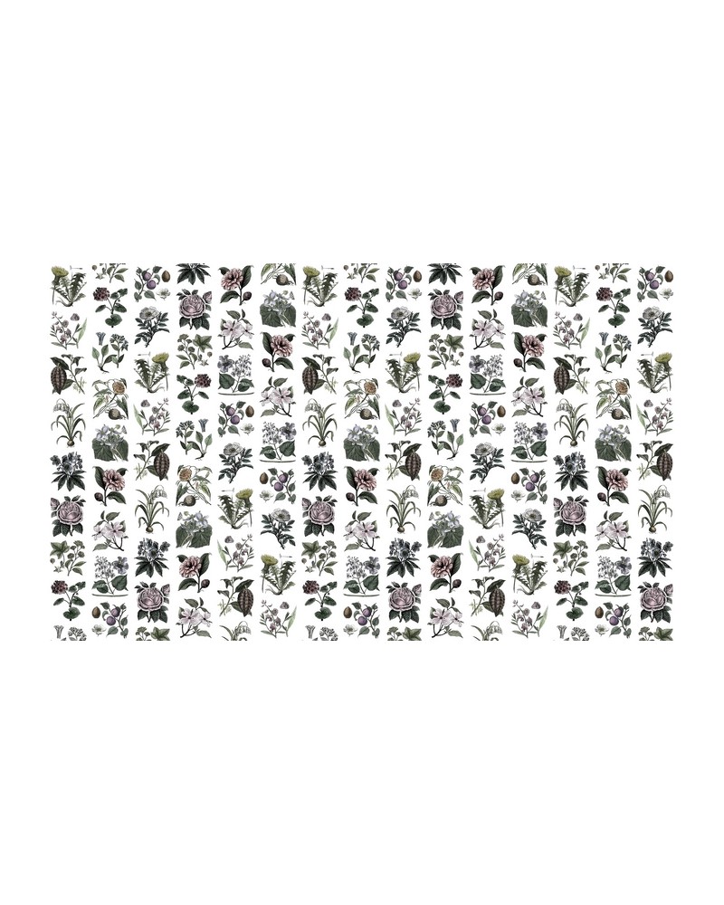 Papel Pintado R13172-4 FRUIT & FLORA - REBEL WALLS Papel Pintado R13172-4 FRUIT & FLORA - REBEL WALLS