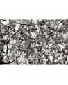 Papel Pintado NO 8 - Storytime R51003 - REBEL WALLS