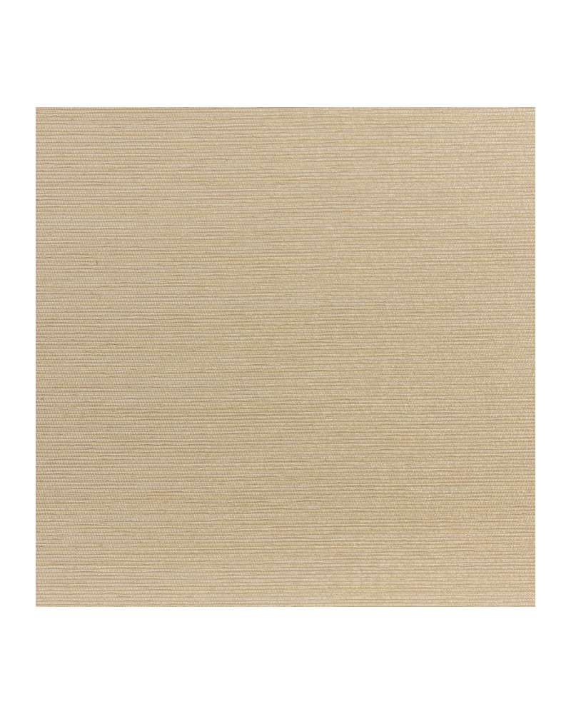 Papel Pintado D14006_006 RAFIA COL.6 SABBIA - DEDAR