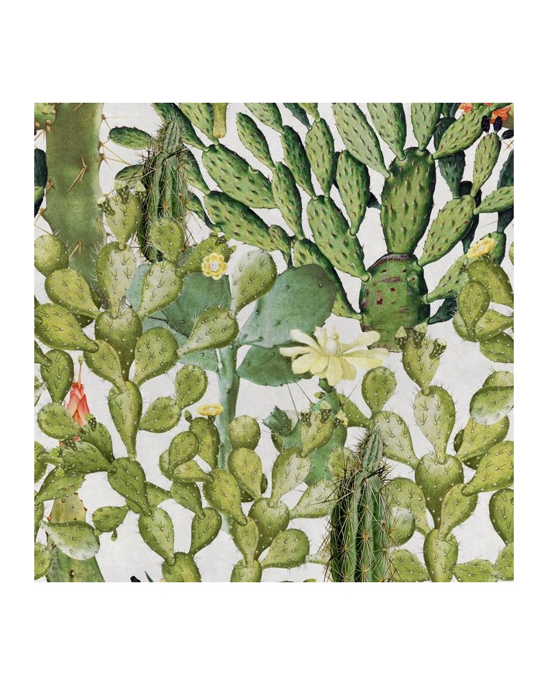 Papel Pintado OPUNTIA WP20166 - MIND THE GAP Papel Pintado OPUNTIA WP20166 - MIND THE GAP