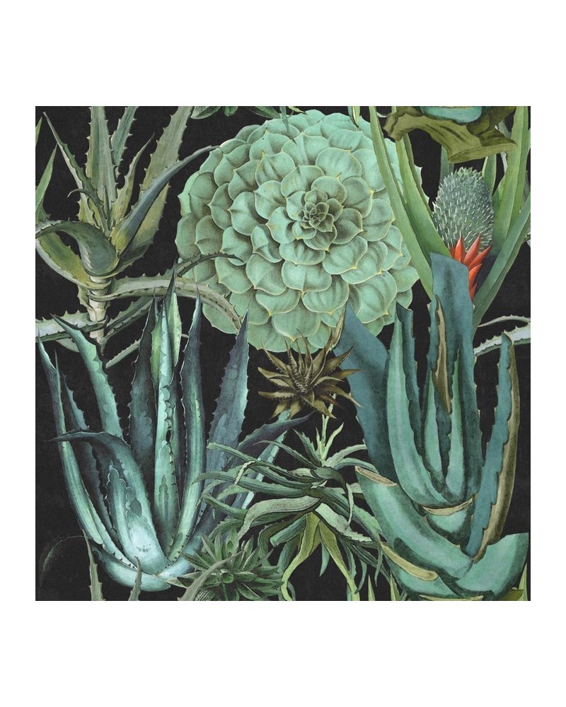 Papel Pintado SUCCULENTUS P20167 - MIND THE GAP