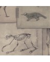 Papel Pintado ZOOARCHAEOLOGY WP20236 - MIND THE GAP
