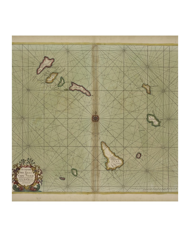 Papel Pintado 6500104 CAPE VERD - COORDONNE
