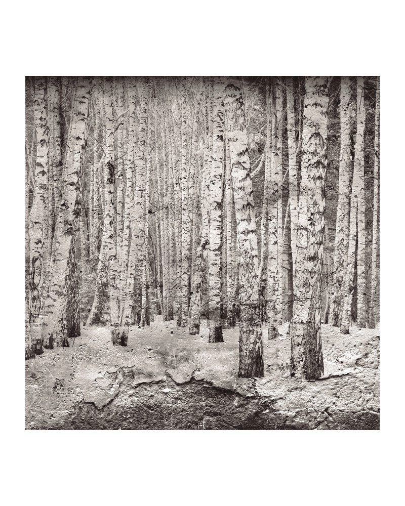Papel Pintado 6500201 BROKEN FOREST BLACK - COORDONNE Papel Pintado 6500201 BROKEN FOREST BLACK - COORDONNE