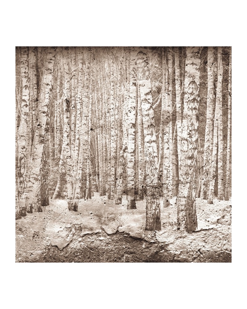 Papel Pintado 6500202 BROKEN FOREST SEPIA - COORDONNE Papel Pintado 6500202 BROKEN FOREST SEPIA - COORDONNE