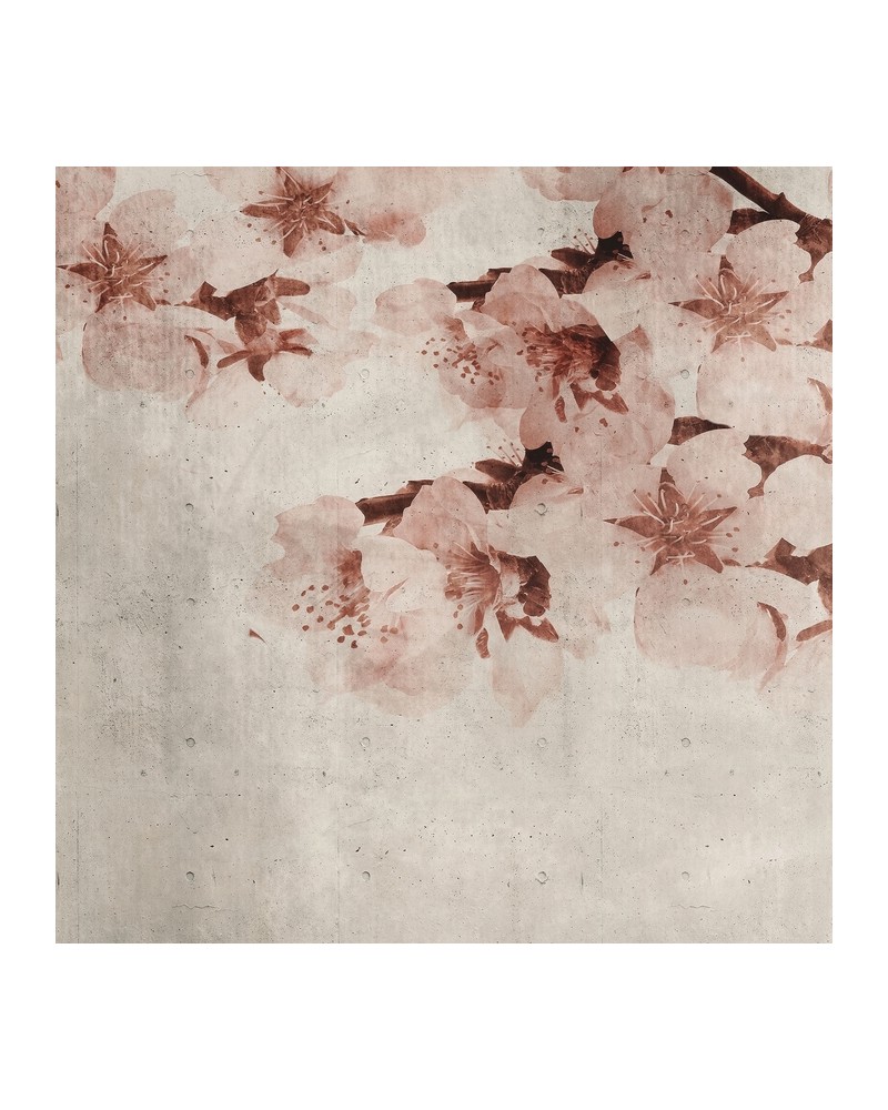 Papel Pintado 6500309 BLOSSOM BIG ALMOND FLOWER - COORDONNE Papel Pintado 6500309 BLOSSOM BIG ALMOND FLOWER - COORDONNE