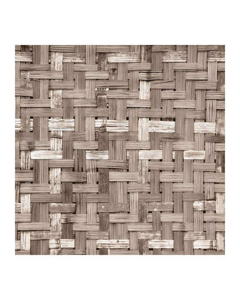 Papel Pintado 6500321 PALM TREE FRAME SEPIA - COORDONNE Papel Pintado 6500321 PALM TREE FRAME SEPIA - COORDONNE
