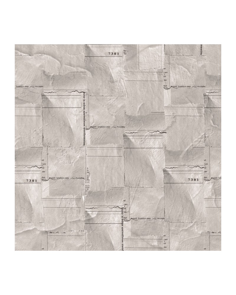 Papel Pintado 6500504 NEWSPAPER PIECES - COORDONNE