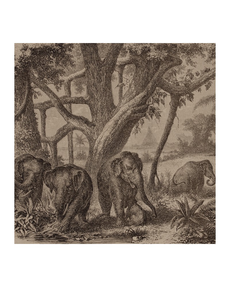 Papel Pintado 6500506 ELEPHANTS - COORDONNE Papel Pintado 6500506 ELEPHANTS - COORDONNE