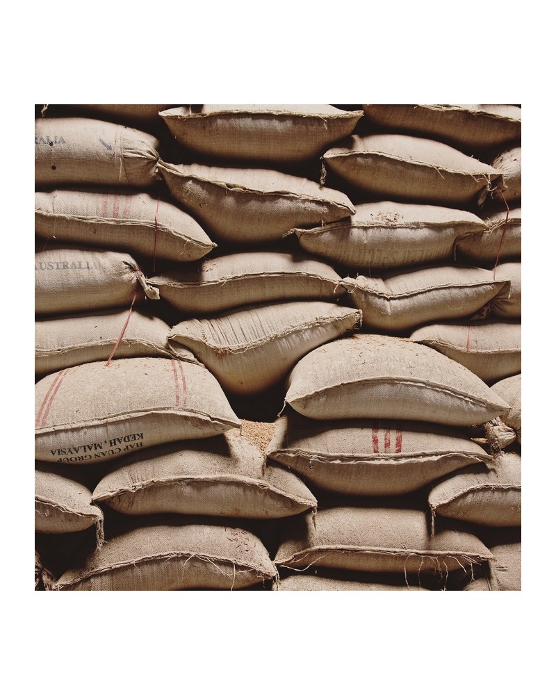Papel Pintado 6500801 SACKS - COORDONNE