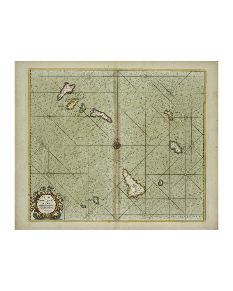 Papel Pintado 6500104 CAPE VERD - COORDONNE