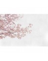 Papel Pintado 6500306 BLOSSOM ALMOND TREE PINK - COORDONNE