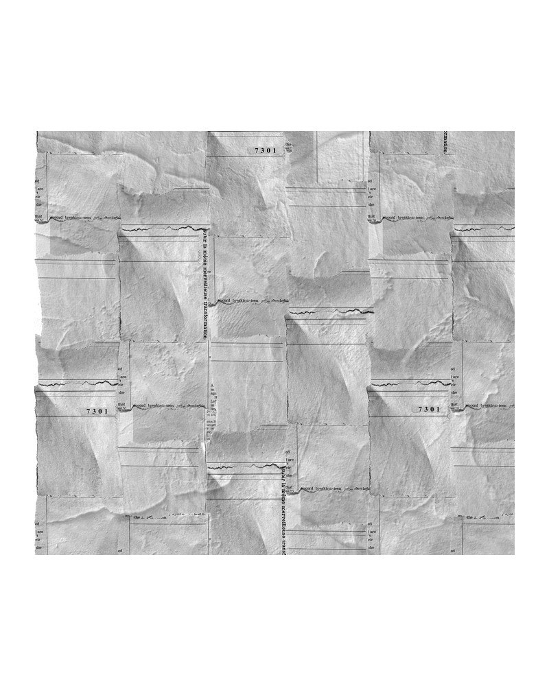 Papel Pintado 6500504 NEWSPAPER PIECES - COORDONNE