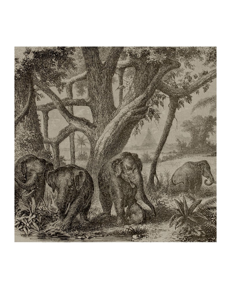 Papel Pintado 6500506 ELEPHANTS - COORDONNE