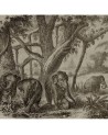 Papel Pintado 6500506 ELEPHANTS - COORDONNE