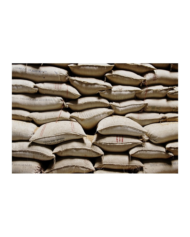 Papel Pintado 6500801 SACKS - COORDONNE