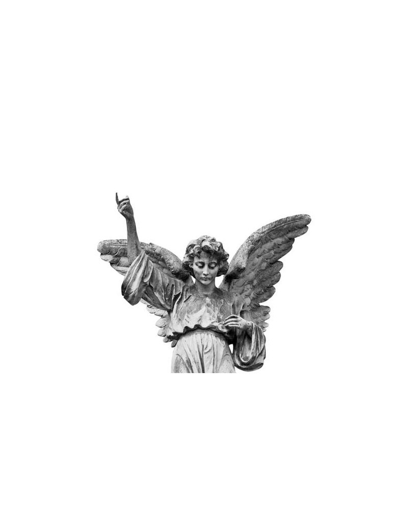 Papel Pintado R11731 Angel - REBEL WALLS Papel Pintado R11731 Angel - REBEL WALLS