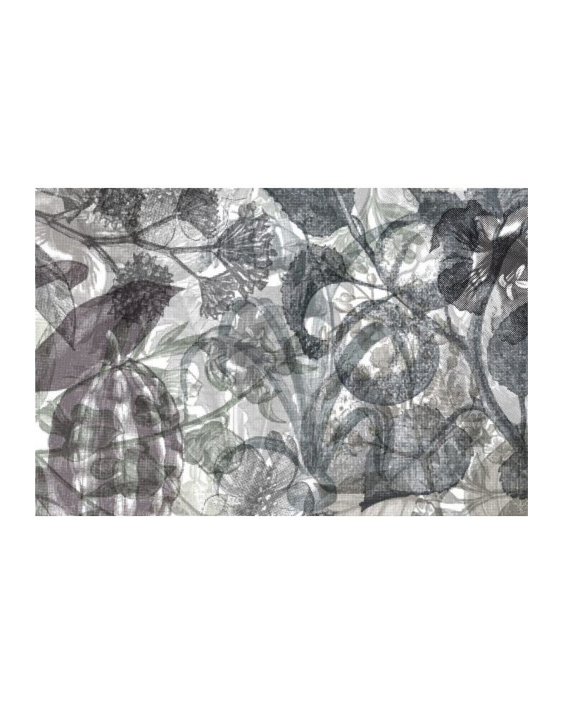 Papel Pintado R12023 Jelly Belly Plants, black & white - REBEL WALLS Papel Pintado R12023 Jelly Belly Plants, black & white - REBEL WALLS