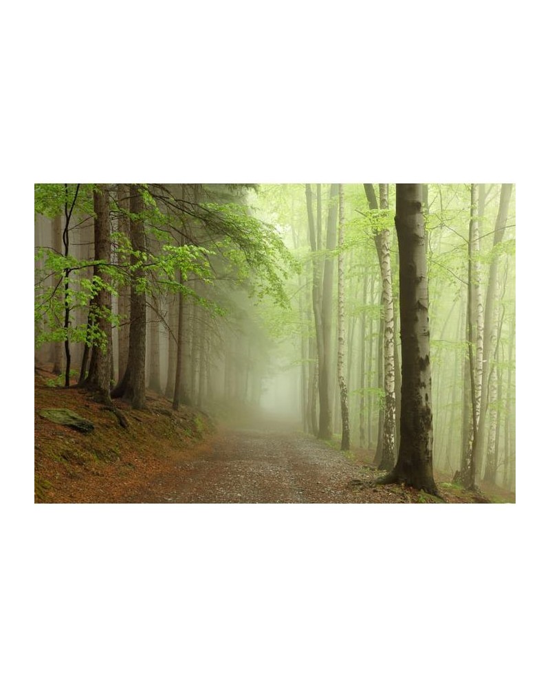 Papel Pintado R12471 Forest Path - REBEL WALLS Papel Pintado R12471 Forest Path - REBEL WALLS
