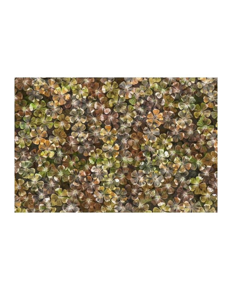 Papel Pintado R12682 Big Bloom, amber - REBEL WALLS Papel Pintado R12682 Big Bloom, amber - REBEL WALLS