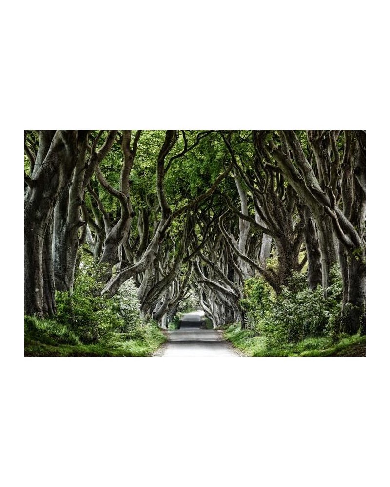 Papel Pintado R15251 Magical Alley - REBEL WALLS Papel Pintado R15251 Magical Alley - REBEL WALLS