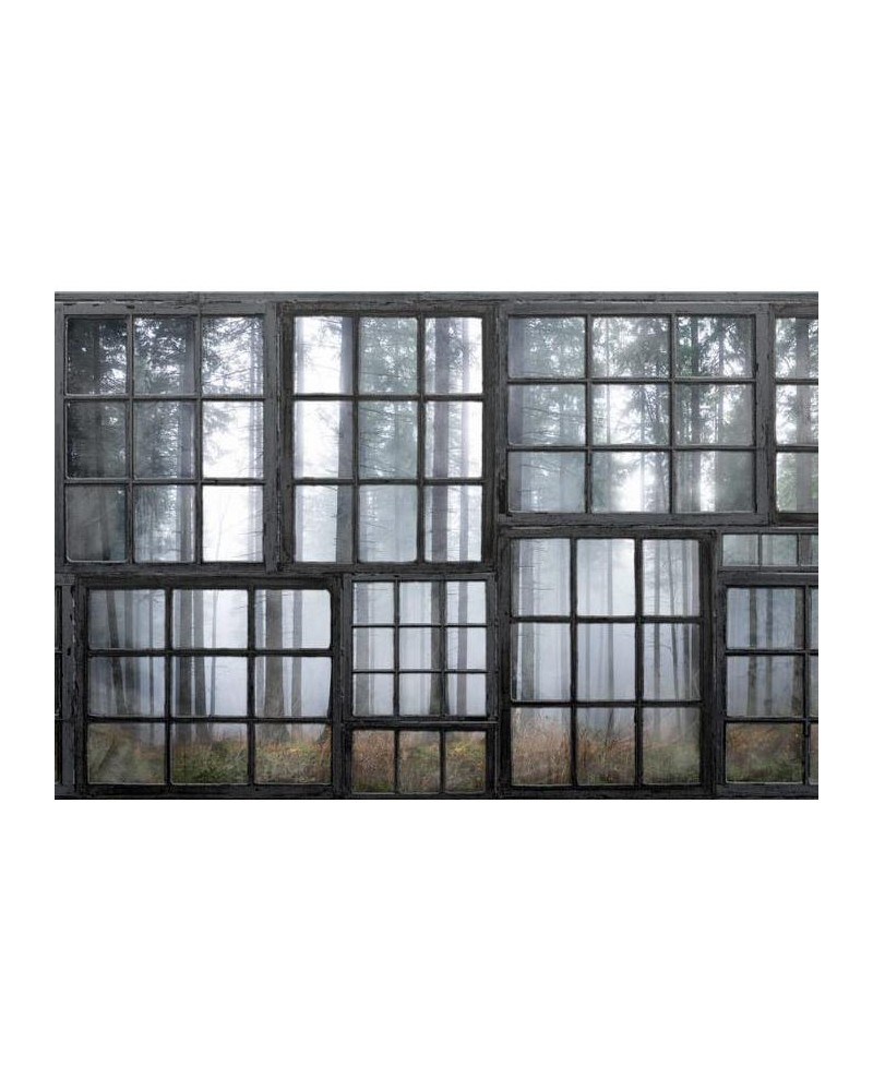 Papel Pintado R15341 Cabin - REBEL WALLS Papel Pintado R15341 Cabin - REBEL WALLS