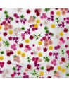 Papel Pintado PROFUMO WDPO1602 - WALL AND DECO