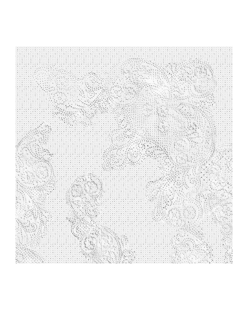 Papel Pintado SPOLVERO WDSP1701 - WALL AND DECO