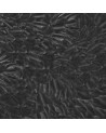 Papel Pintado THE DARK SIDE WDDS1701 - WALL AND DECO