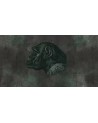 Papel Pintado ANCETRE WDAN1701 - WALL AND DECO